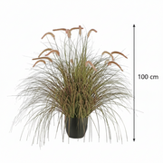 Planta Artificială Iarbă Ornamentală Tip Coadă de Vulpe, 100cm, Iarbă curbată cu Spice, Roz si Verde, Fara Ghiveci