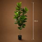 Planta Artificială Copac Tip Smochin, Frunze cu 4 ramificatii, 180 cm, Verde, cu Ghiveci