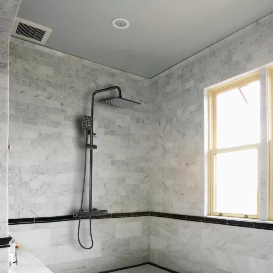 Kolumna prysznicowa, mosiądz sanitarny, czarny, HC8816H Baterie i kolumny prysznicowe Tytuł domyślny Alessandro Design