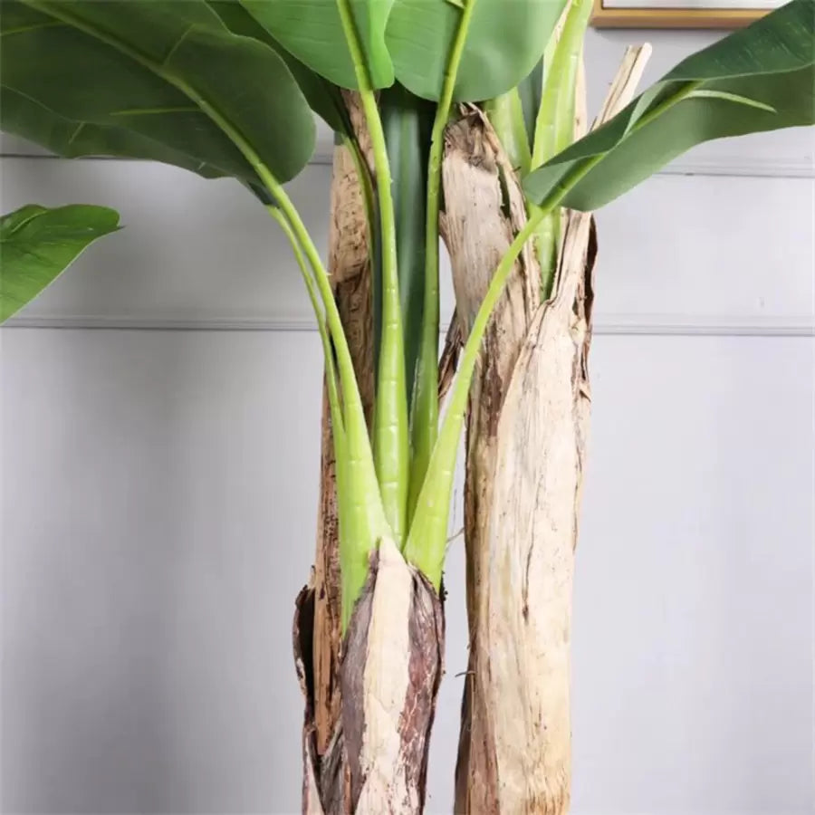 Japoński banan Sztuczna roślina, 3 gałęzie, bez doniczki 190 cm Zielone sztuczne rośliny doniczkowe Domyślny tytuł Alessandro Design