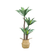 Sztuczna roślina Dracaena fragrans, bez doniczki, 180 cm Zielone sztuczne rośliny doniczkowe Domyślny tytuł Alessandro Design